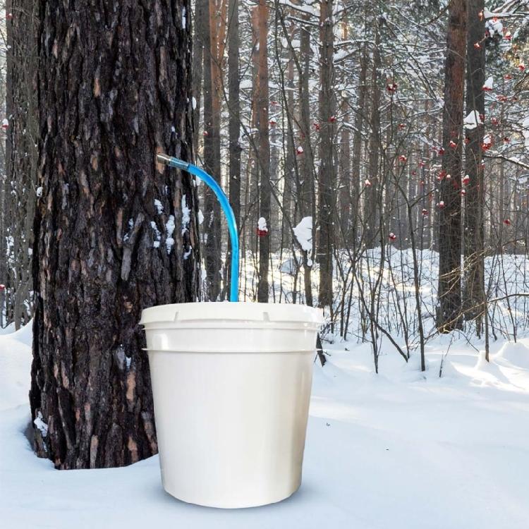 Stainless Steel Maple Tree Hardware Kit with Hook Accessories,Sap Collection Tool,Manual Prepare for Syrup Making Tasks