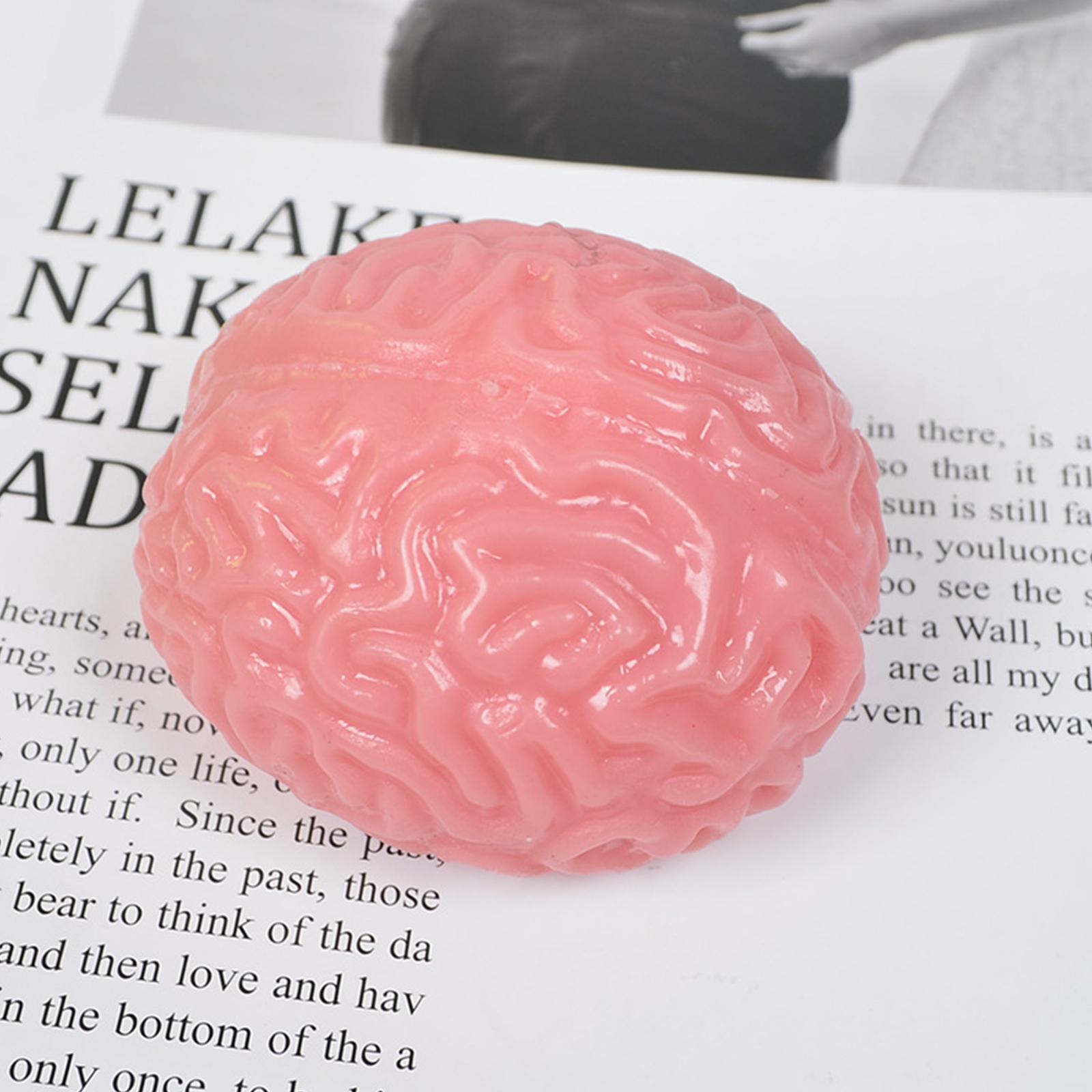 Soft TPR Jumbo Brain Stress Ball Slow Rising Brain Squeeze Fidget Toy 5.31x3.15in Suitable for Adults Teenagers Birthday Gifts China Mainland