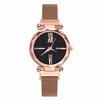 Women watches hours Mesh Magnet Starry Sky Watch Luxury Ladies Roma Dial Quartz Wristwatch