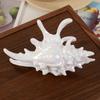 White Seashell Hair Claw Clip for Women, Large Conch Hair Clamp, Beach Vacation Hair Accessory, Perfect for Summer Hairstyle & t