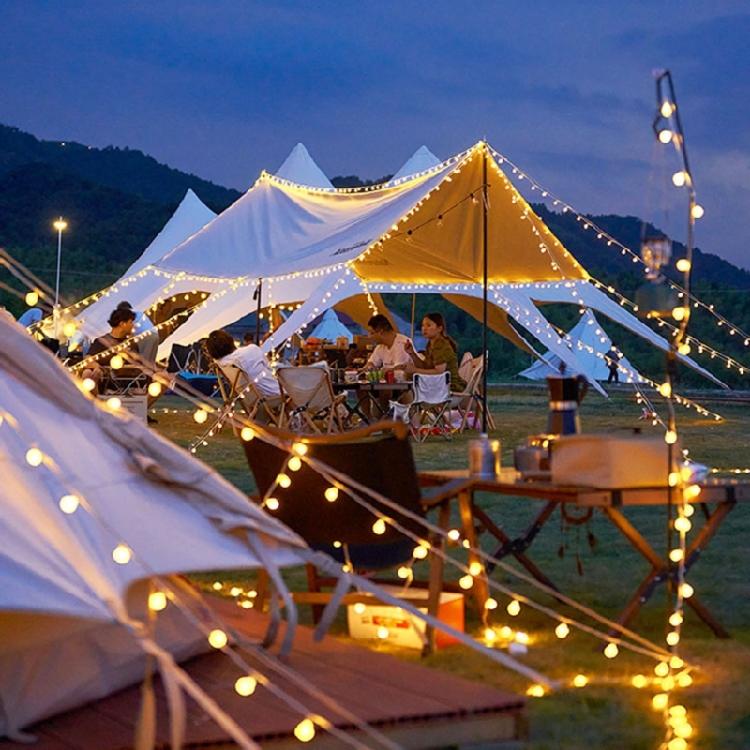 LED Lights for Garden Party Globe String Lights Watertight Decorative String Lights Outdoor Indoor Bedroom Patio Lights