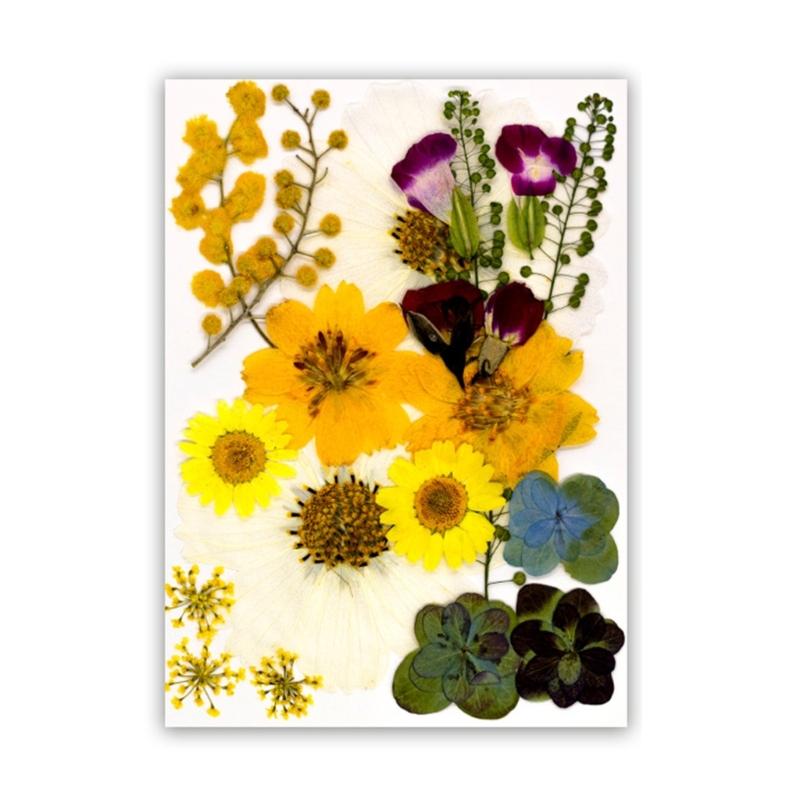 Dried Flower Leaf Kits for Epoxy Jewelry Molds Scrapbooking Supplies and Artistic Soap Making Phone Case Decoration