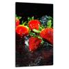 GLASS PROTECTIVE PLATE FOR INDUCTION 30x52 FRUIT