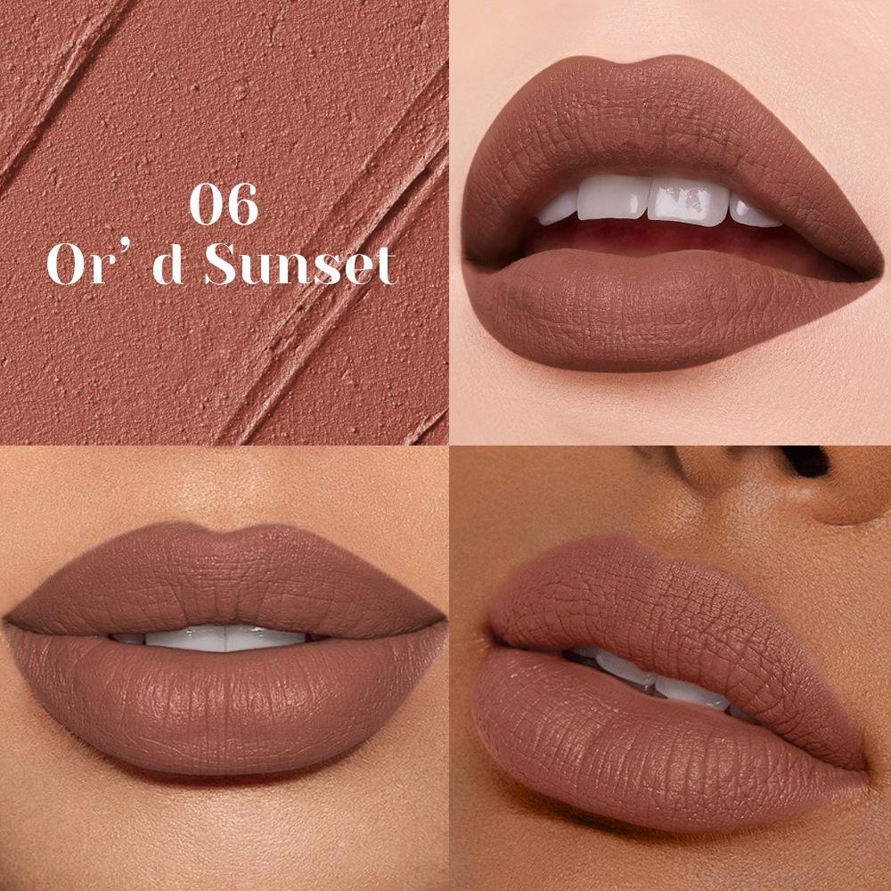 Matter Wasserdichter Farb-Lipgloss Langanhaltender Flüssiger Lippenstift Samt Nude Sexy Lipglaze Make-up Tönung Matte Textur Schönheitskosmetik