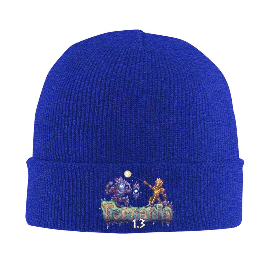 Great Model Terraria Game Christmas Bonnet Hats Beanie Hats Autumn Winter Graphic Knit Hat Street Y2K Men Women Sport Warm Cap