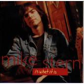 

CD MIKE STERN - Is What It Is AMCY678 Atlantic Jazz, 1994 Japan ObiJazz Used