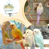Vogelkäfig Heizung Plüsch Höhlenbett Haustierbedarf Winter Warm Vogelbett für Unzertrennlichen Sittich Kanarienvogel Hase Meerschweinchen Chinchilla Sittich