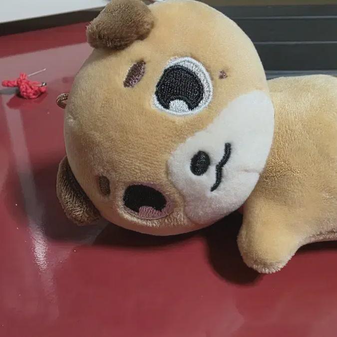 

Cost Price) Day6 Hand Warmer Money