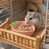 Voor dieren – Knaagdieren