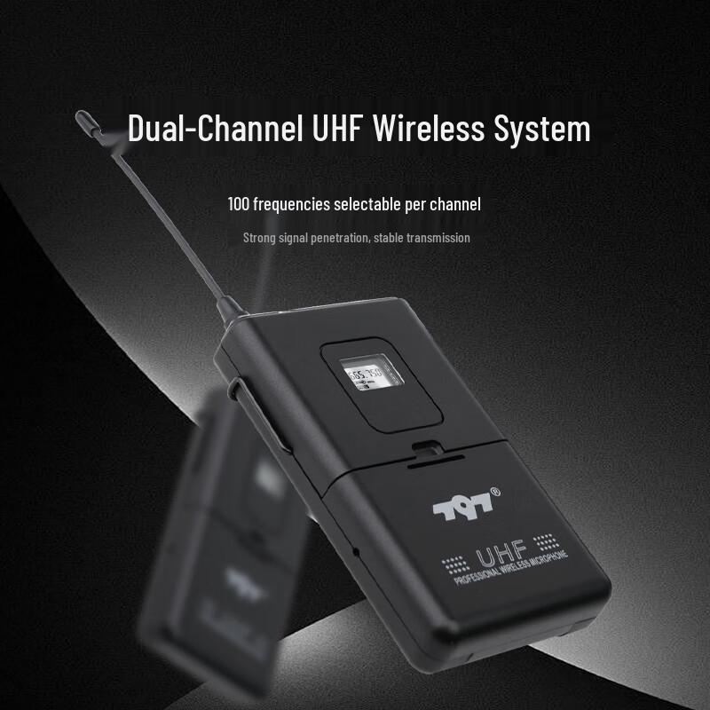 797audio DW612 Dual Wireless Microphone System (CN version)