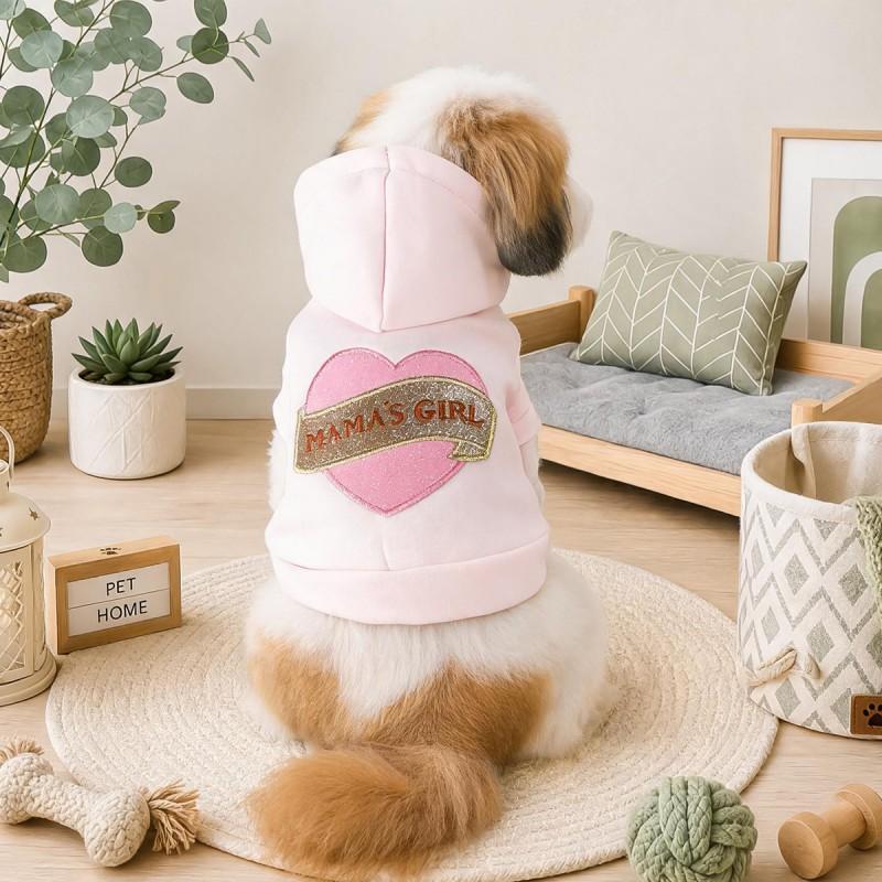 PETCIRCLE Dog Hoodie 2026 Fall Winter Small Puppy Embroidered Two-Legged Pet Clothes