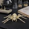 Decoración Duradera de Esqueleto de Halloween Esqueleto de Animal, Pez Pájaro Araña Serpiente Gato Realista Modelo de Calavera Reutilizable para Fiesta, Casa Embrujada, Escena de Cementerio