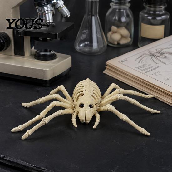 Decoración Duradera de Esqueleto de Halloween Esqueleto de Animal, Pez Pájaro Araña Serpiente Gato Realista Modelo de Calavera Reutilizable para Fiesta, Casa Embrujada, Escena de Cementerio