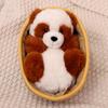 HYAKURI Plüsch Niedlich Klein Gefüllter Körper Plüschtier Panda Bär/Teddybär, Tier, Tier/Bärenwickel/Bärenkissen/Feier/Flauschig (C Grau, 21cm)
