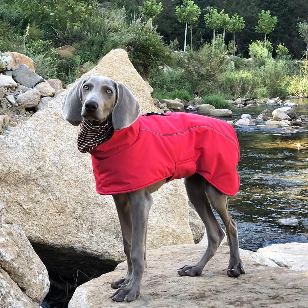 Pet Cotton Clothes Dog Clothes Double Collar Warm And Water-Proof Big Dog Clothes Manufacturer