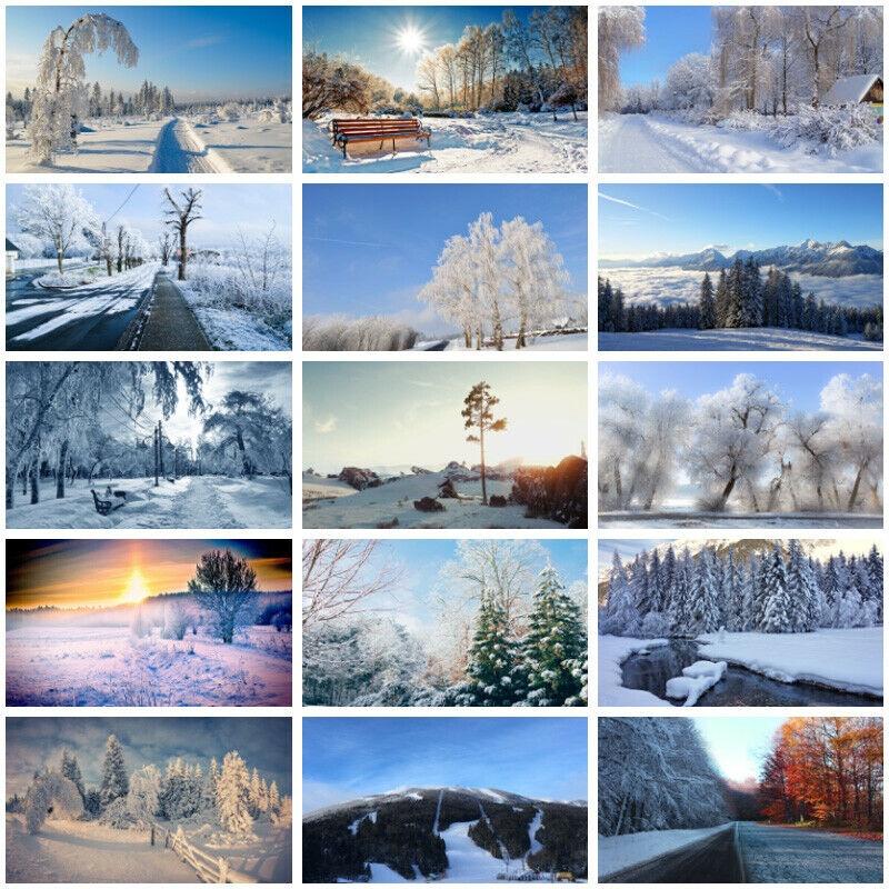 Winter Theme Snow Scene Background Nature Landscape Sky Snowflake Christmas Portrait Prop Party Decoration Banner
