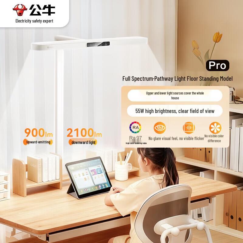 BULL Full-Spectrum Eye-Protection Floor Study Lamp
