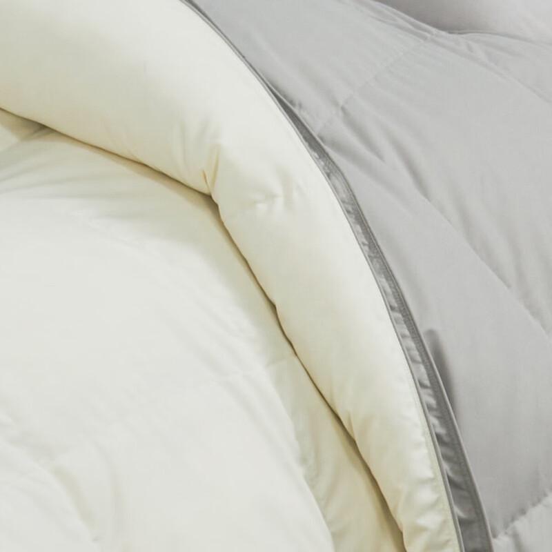 Mercure Home Textiles Antibacterial White Goose Down Winter Quilt