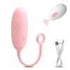 Vibrating Egg Women Vagina Vibrator Remote Control Wearable Panties Vibrator Female Masturbation Interaction Sex Toy for Couples
