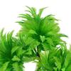 Künstliche Pflanzen für Aquarien, realistisches aquatisches Plastikgras, Hydrokultur-Simulationsbäume, Landschaft, leicht zu pflegen, sichere künstliche Algen für Aquarien