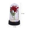 New Creative Single Glass Cover Eternal Flower, Holiday Gift Luminous Desktop Ornament, Scene Decoration Simulation Flower