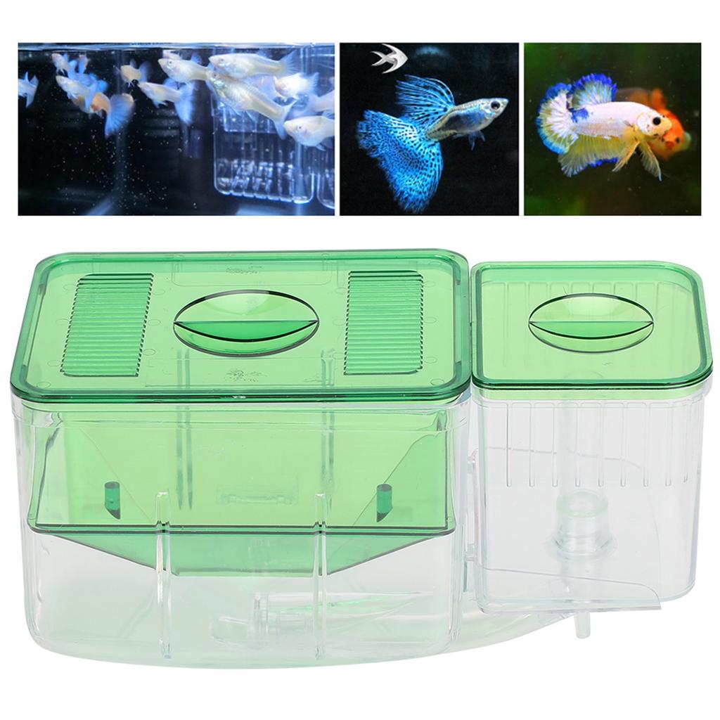 Aquarium Fish Tanks Breeding Box Little Fish Double‑Layer Isolation Incubator for Injured Small Fish Shrimp