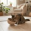 Rutschfeste Silikon-Tiernapf-Saugnäpfe Erhöhter Futterspender Hundefutternapf Haustier-Futterplatz