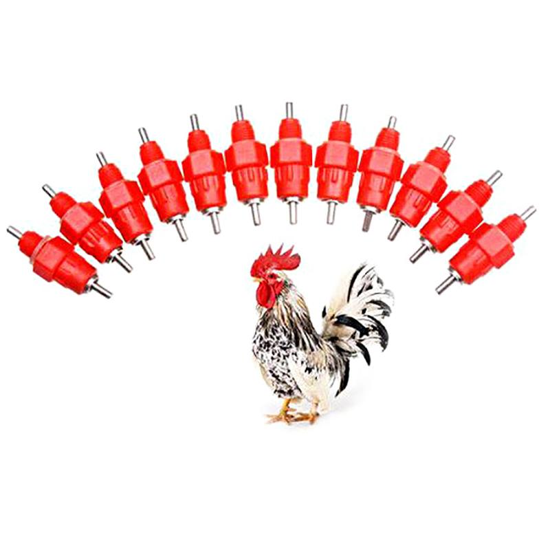5 Stück Hühner Tränkenippel Tränken Wachtel Taube Vogel Tränkenippel Automatische Wässerung Feder Typ Geflügelzucht Ausrüstung