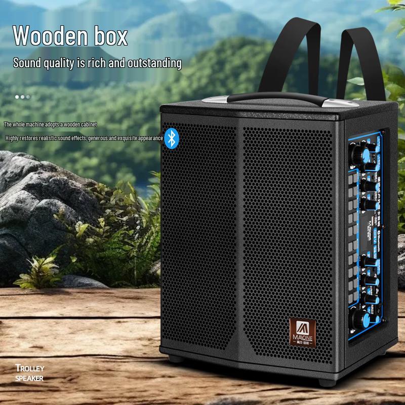 Malone K-106 Portable Karaoke Speaker with Sound Card (CN Version)