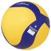 MIKASA Volleyball Training Medicine Ball No. 5 For General/University/High School