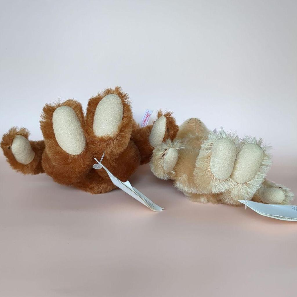 [USED] Steiff William & Henry Brothers Teddy Bear In a Tin