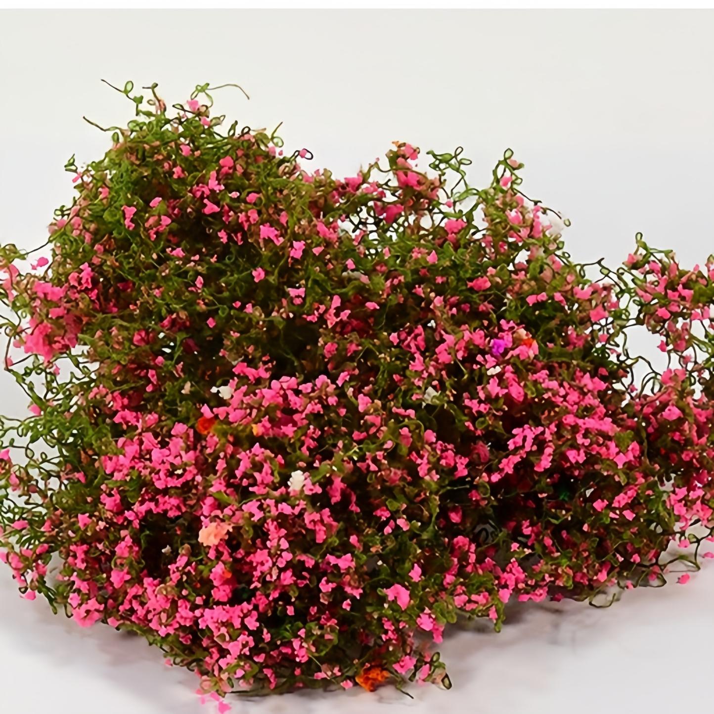 

5G/Bag Miniature Cotton Thread Vine Leaves Simulation Plant Model Diy Micro Landscape Wall Scene Layout Diorama Accessories Kit Set