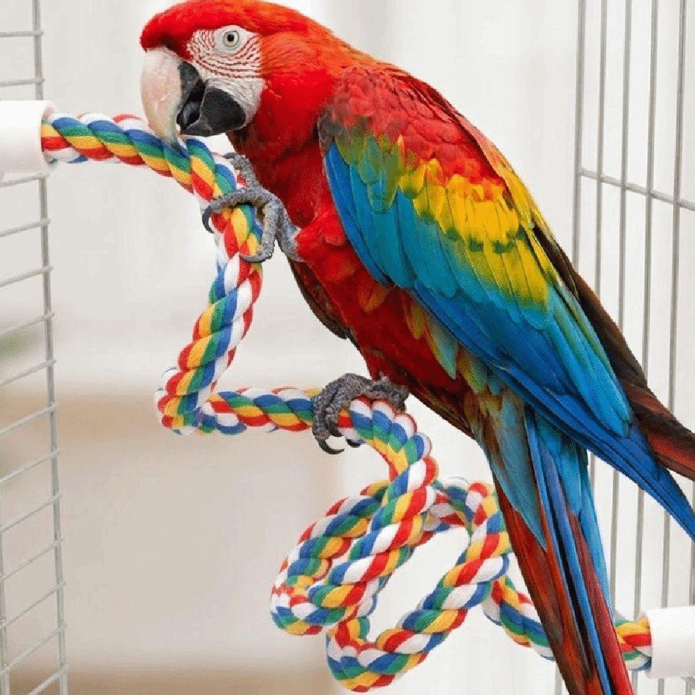 Colorful Parrot Rope Toy 40/80//105/200cm Parrot Stand Chewing Station Bird Perch for Cage Parrot
