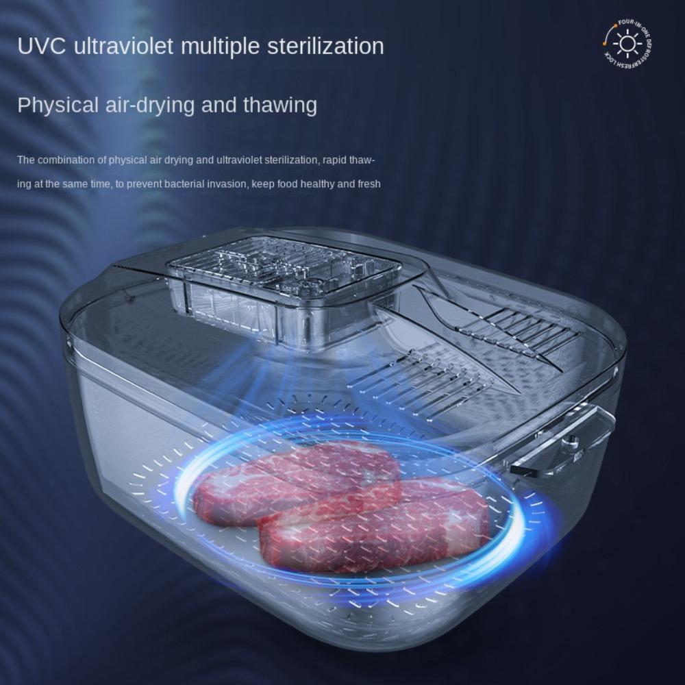 Food Quick Defrosting Tool Rapid Defrosting Tray Defrosting Machine  Chicken Steak And Other Meat