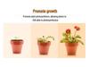 50W Full Spectrum LED Grow Light for Plants