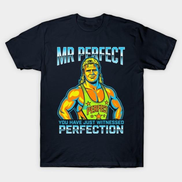 Mr Perfect Absolute Perfection T Shirt Funny Retro Graphic Tee Unisex Gift