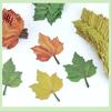 50 Sheets Sticky Notes Cartoon Maple Leaves Tearable Note Paper School Stationery Office Supplies Memo Note Student Post-it Note