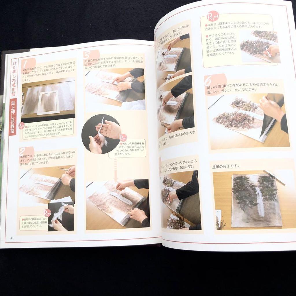 [USED] Masae Kuwano Collection, 2-volume set: "The Music of Pressed Flowers" and "Pressed Landscapes" at Hita Pressed Flower Museum