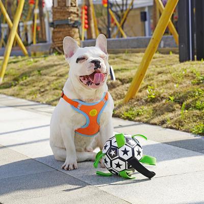 Juguetes de fútbol para perros, juguetes de entrenamiento interactivos multifuncionales al aire libre, juguete para masticar con cuerda para mascotas