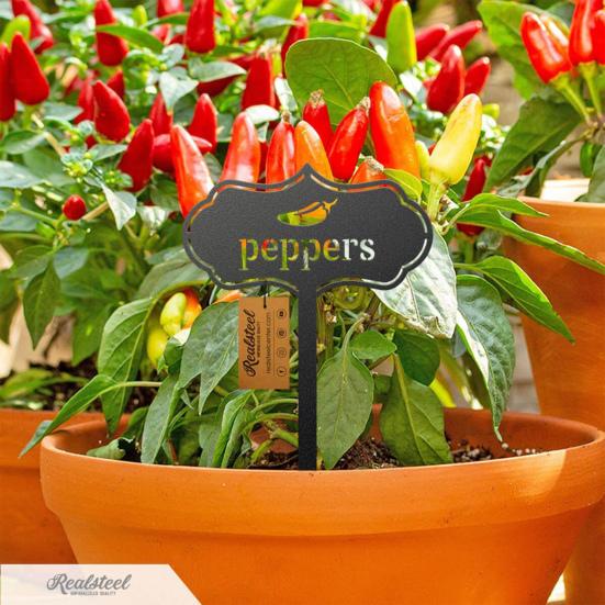 Plant Marker Fashion Tag Bonsai Decor Acrylic Farm Greenhouse Herbal Vegetable Plant Label Garden Decor