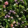 Uflower Artificial Flower Wall Roll-Up with Green Leaves Fabric Floral Backdrop for Wedding Event Party Decorations Curtain