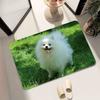 1pc Cute Pomeranian Dogs Bathroom Absorbent Mats Anti-Slip Mats Home Decor Supplies Carpets Home Kitchen Floor Mats
