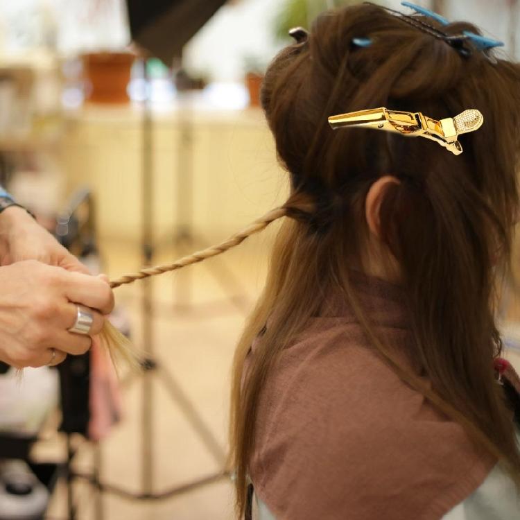 Hair Clips for Styling Sectioning,Alligator Hair Clips for Hair Salon,Hair Accessories for Women Hair Styling Clips