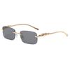 Vintage Leopard Head Square Sunglasses Unisex Rimless Sunglasses Marine Piece Glasses