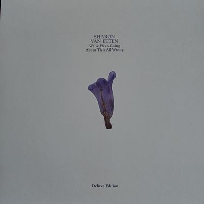Disco LP SHARON VAN ETTEN - We've Been Going About This All Wro JAG395DLX Jagjaguwar 2022 Rock Mundial