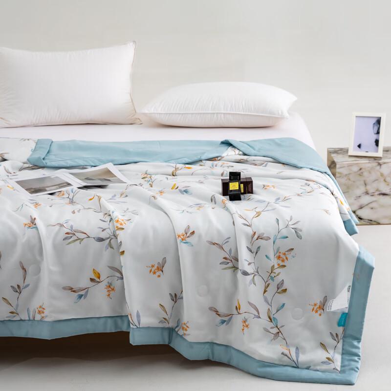 

Hansjiafang Tencel Printed Summer Quilt