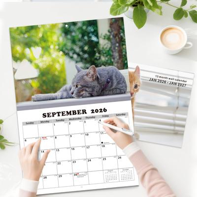 Kalender 2026 Neujahr Katze Thema Wandkalender Monatskalender mit 16 HD-Fotos Kalender 2026 Desktop-Ornamente