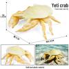 Simulationsmodelle von Meerestieren: Qualle, Oktopus, Meeresgarnele, Seeanemone, Tintenfisch, Pfeilschwanzkrebs, Flusskrebs, Pfeilkraut