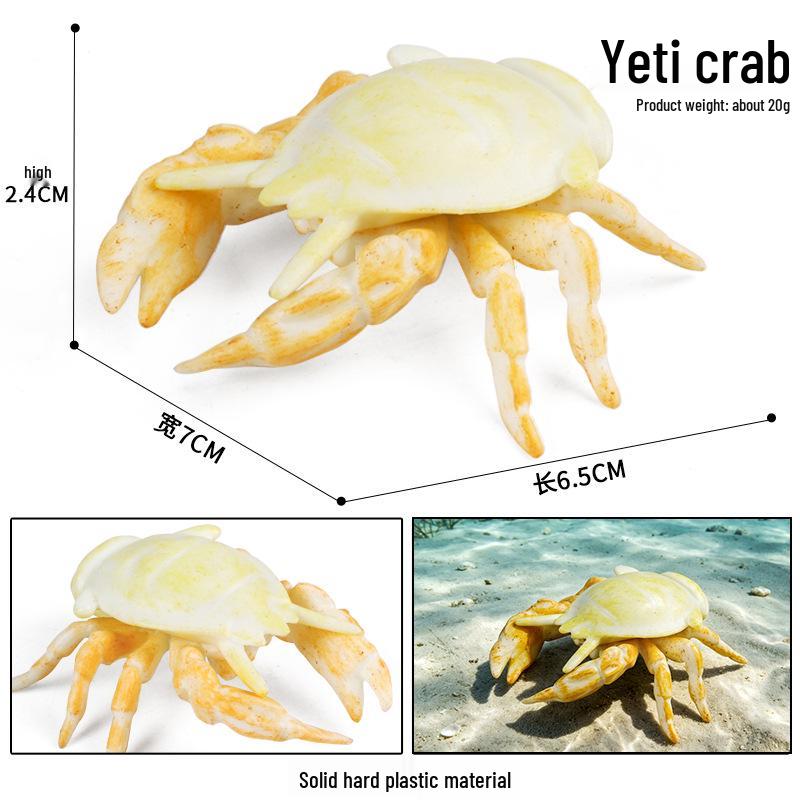 Simulationsmodelle von Meerestieren: Qualle, Oktopus, Meeresgarnele, Seeanemone, Tintenfisch, Pfeilschwanzkrebs, Flusskrebs, Pfeilkraut