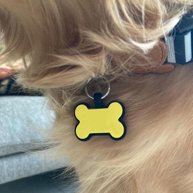 Silicone Bone-Shaped Dog Tag & Military-Style Pendant for Pet Engraving